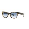 LENTE RAY-BAN RB2201 54 13323F LARAMIE