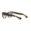 LENTE RAY-BAN RB2201 54 13323F LARAMIE