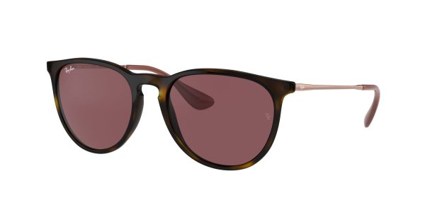 LENTE RAYBAN RB4171 54 639175 ERIKA CLASSIC