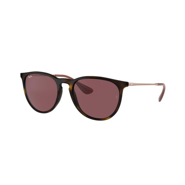 LENTE RAYBAN RB4171 54 639175 ERIKA CLASSIC