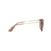 LENTE RAY-BAN RB4171 54 659013 ERIKA