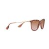 LENTE RAY-BAN RB4171 54 659013 ERIKA